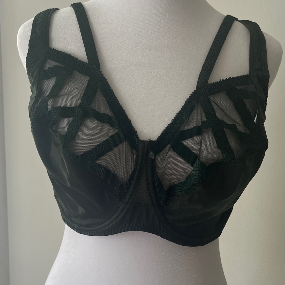 Louisa Braco Green Lace 
Bra. 38G